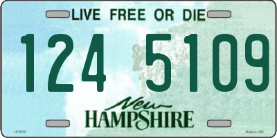 NH license plate 1245109