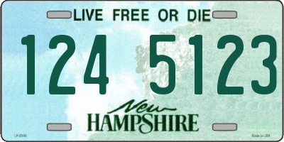 NH license plate 1245123