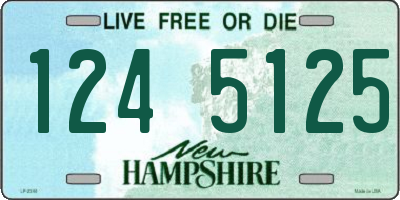 NH license plate 1245125