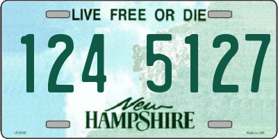 NH license plate 1245127