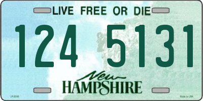 NH license plate 1245131