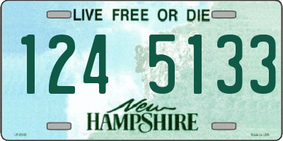 NH license plate 1245133