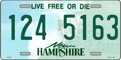 NH license plate 1245163