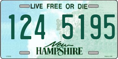NH license plate 1245195