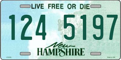 NH license plate 1245197