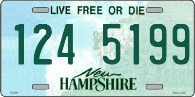 NH license plate 1245199