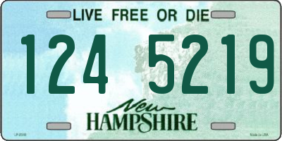 NH license plate 1245219