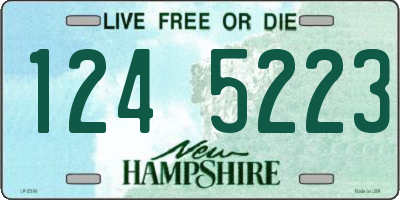 NH license plate 1245223