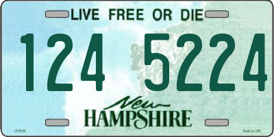 NH license plate 1245224