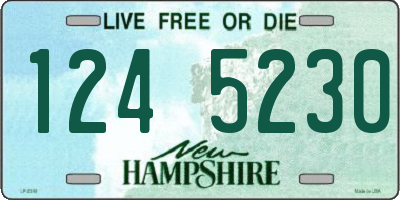 NH license plate 1245230