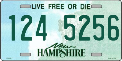 NH license plate 1245256