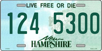 NH license plate 1245300