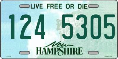 NH license plate 1245305