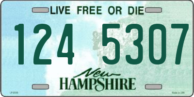 NH license plate 1245307