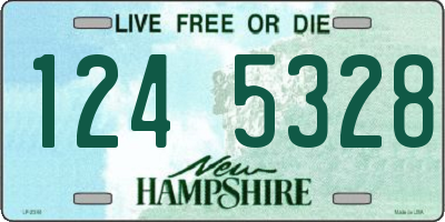 NH license plate 1245328