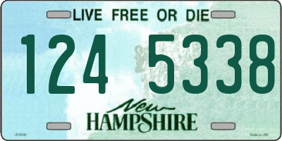 NH license plate 1245338