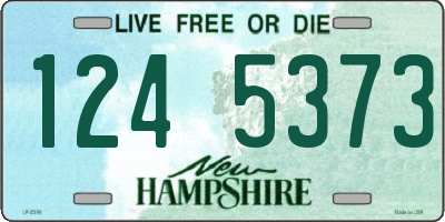NH license plate 1245373