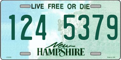 NH license plate 1245379