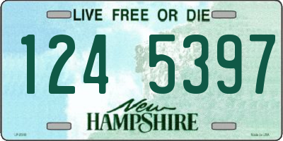 NH license plate 1245397