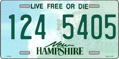 NH license plate 1245405