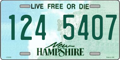 NH license plate 1245407