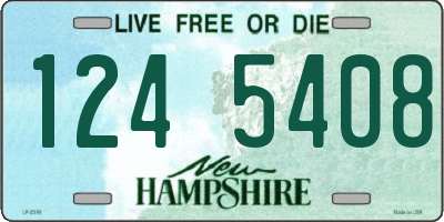 NH license plate 1245408