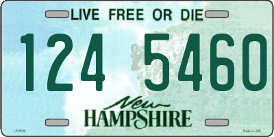 NH license plate 1245460