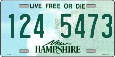NH license plate 1245473