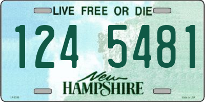 NH license plate 1245481