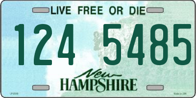 NH license plate 1245485