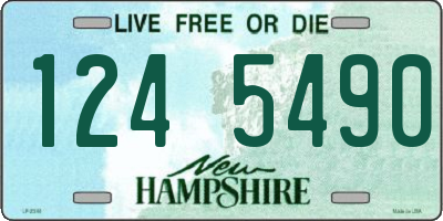 NH license plate 1245490