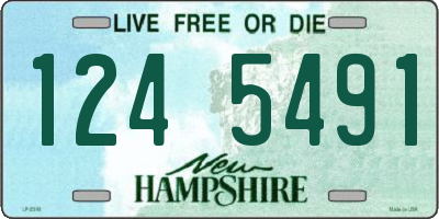 NH license plate 1245491