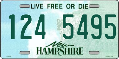 NH license plate 1245495
