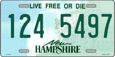 NH license plate 1245497