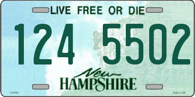 NH license plate 1245502