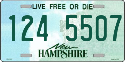 NH license plate 1245507