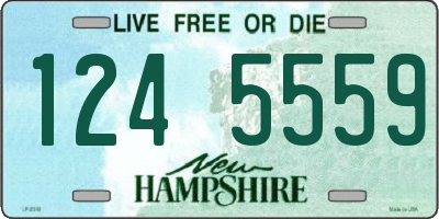 NH license plate 1245559