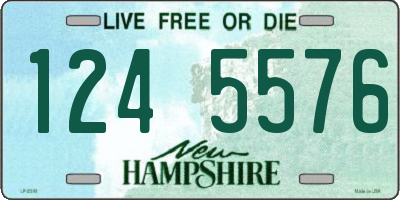 NH license plate 1245576