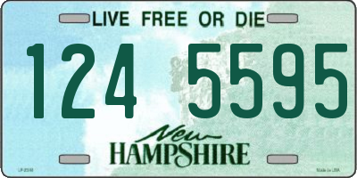 NH license plate 1245595