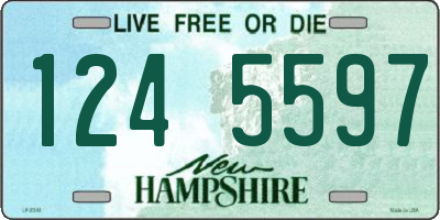NH license plate 1245597