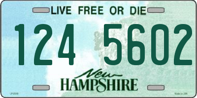 NH license plate 1245602
