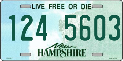 NH license plate 1245603