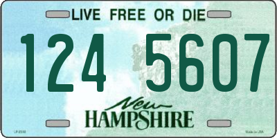 NH license plate 1245607
