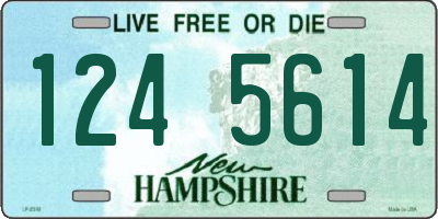 NH license plate 1245614