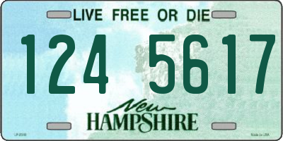 NH license plate 1245617