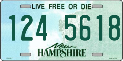 NH license plate 1245618