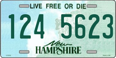NH license plate 1245623