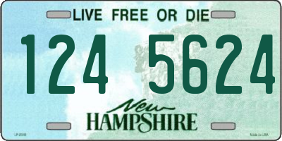 NH license plate 1245624