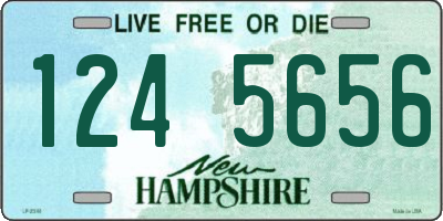 NH license plate 1245656