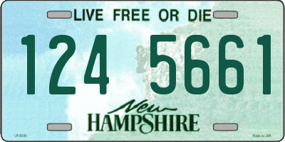 NH license plate 1245661